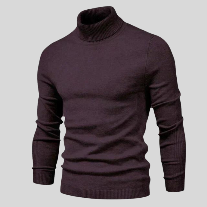 Anthony™ - Stylish Turtleneck Sweater